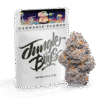 Jungle Boys Candy Bonez 3.5 g – Premium Cannabis Blüten kaufen