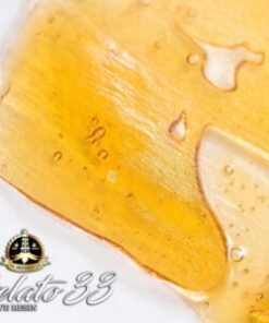 Jungle Boys Gelato #33 10-Pack Pre-Rolls