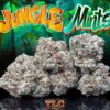 Jungle Boys Jungle Mints Cannabis Flower