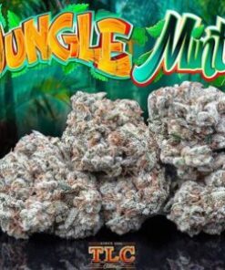 Jungle Boys Jungle Mints Cannabis Flower