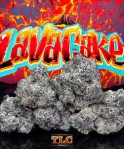Jungle Boys Lava Cake Weed kaufen