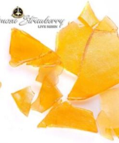 Jungle Boys Mimosa Strawberry 10 Pack Pre-Rolls