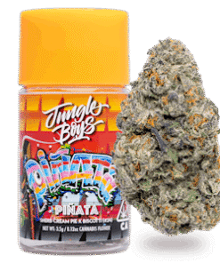 Jungle Boys Piñata 3.5 g Cannabisblüten
