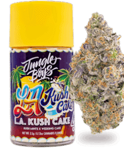 Jungle Boys Sherbanger 3.5 g Cannabis