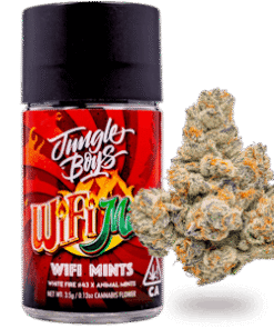 Jungle Boys WiFi Mints 3.5 g Flower Jar kaufen