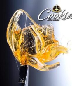 Jungle Boys Cookies 10-Pack Pre-Rolls kaufen